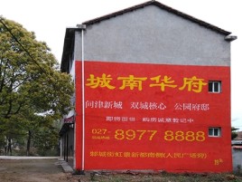 应城百分之90的人都不了解的农村墙体广告