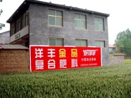 应城如何让墙体广告展现最大化效果