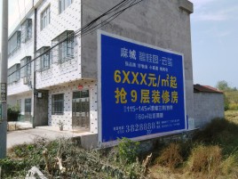 应城墙体广告质量分析