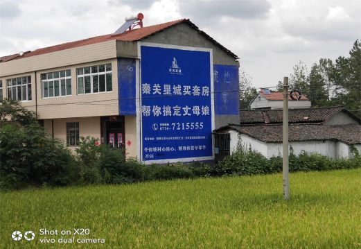 应城决定墙体广告价格的因素有哪些?