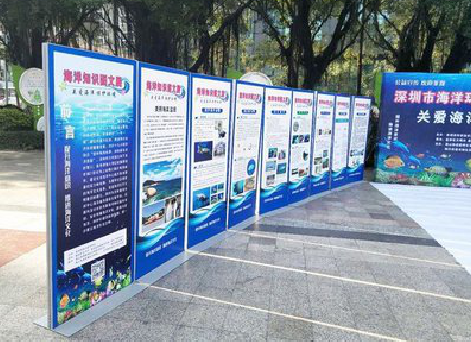 应城KT板的种类和知识。